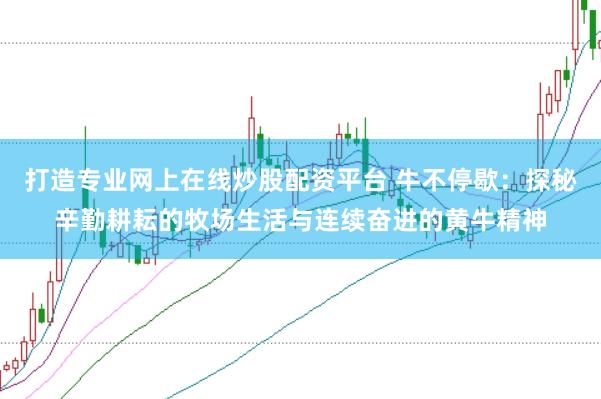 打造专业网上在线炒股配资平台 牛不停歇：探秘辛勤耕耘的牧场生活与连续奋进的黄牛精神