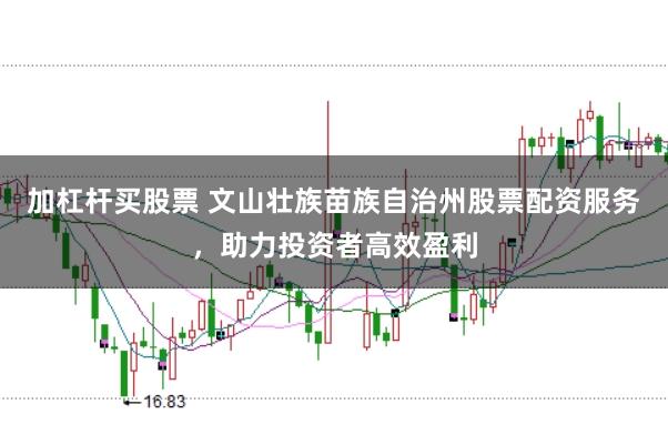 加杠杆买股票 文山壮族苗族自治州股票配资服务，助力投资者高效盈利