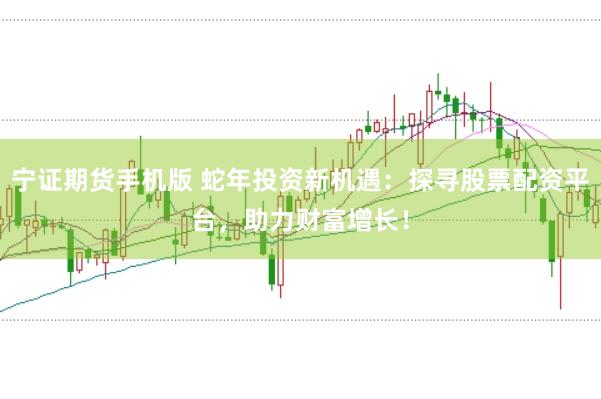 宁证期货手机版 蛇年投资新机遇：探寻股票配资平台，助力财富增长！