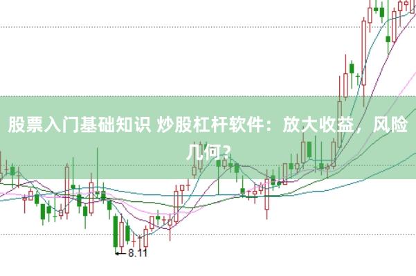 股票入门基础知识 炒股杠杆软件：放大收益，风险几何？