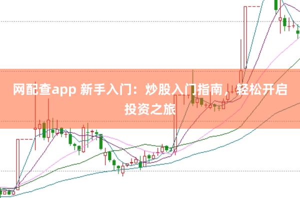 网配查app 新手入门：炒股入门指南，轻松开启投资之旅