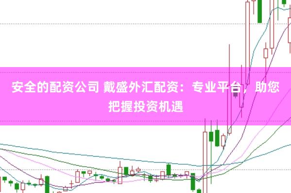 安全的配资公司 戴盛外汇配资：专业平台，助您把握投资机遇