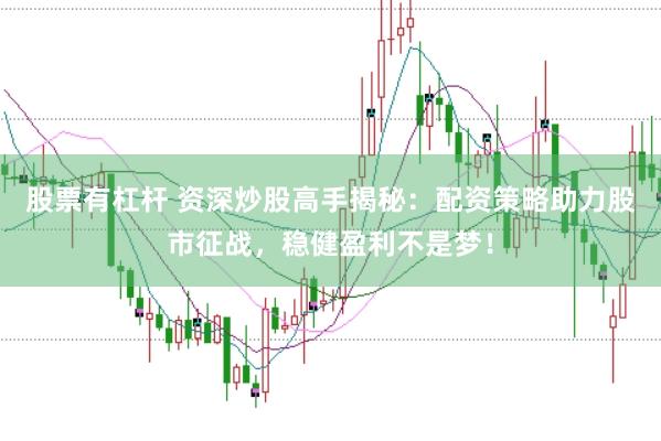 股票有杠杆 资深炒股高手揭秘：配资策略助力股市征战，稳健盈利不是梦！
