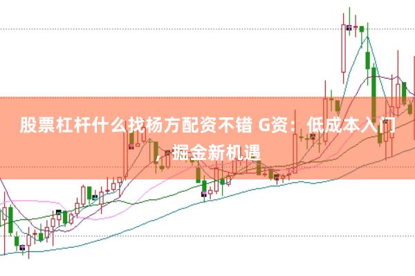 股票杠杆什么找杨方配资不错 G资：低成本入门，掘金新机遇