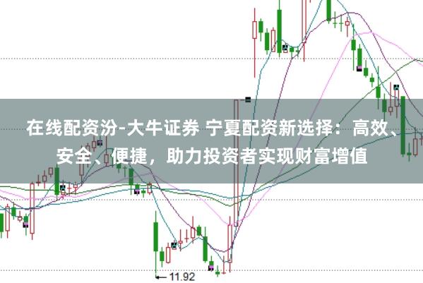 在线配资汾-大牛证券 宁夏配资新选择：高效、安全、便捷，助力投资者实现财富增值