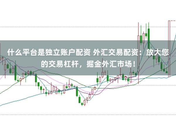 什么平台是独立账户配资 外汇交易配资：放大您的交易杠杆，掘金外汇市场！