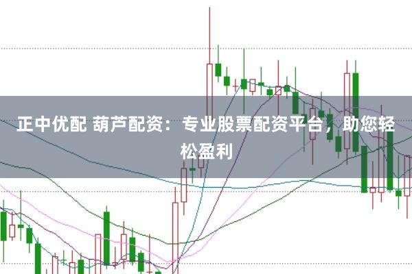 正中优配 葫芦配资：专业股票配资平台，助您轻松盈利