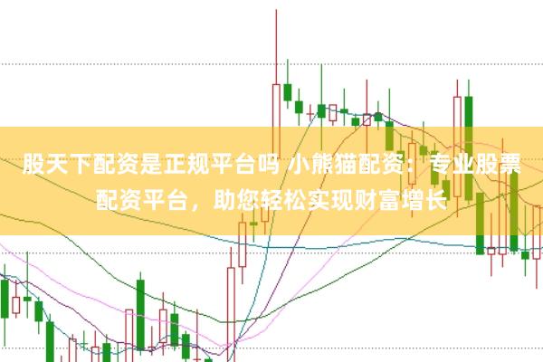 股天下配资是正规平台吗 小熊猫配资：专业股票配资平台，助您轻松实现财富增长