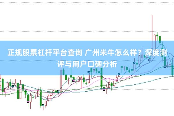 正规股票杠杆平台查询 广州米牛怎么样?深度测评与用户口碑分析