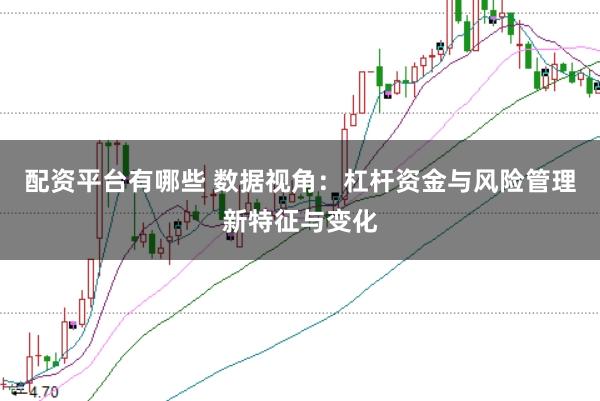 配资平台有哪些 数据视角:杠杆资金与风险管理新特征与变化
